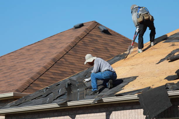 Best Chimney Flashing Repair  in Canyon Day, AZ