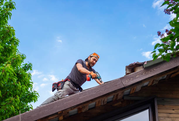 Best Roof Maintenance and Cleaning  in Canyon Day, AZ